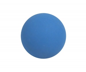 SA05002.jpg