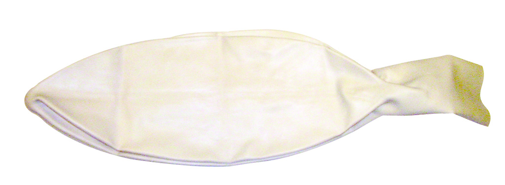 30190-000_bladder--1.jpg