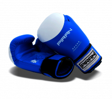 Boxerské rukavice PRO line PIR 14_obr2