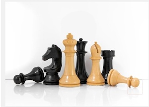 DGT Official FIDE Chess - šachové figurky_obr2