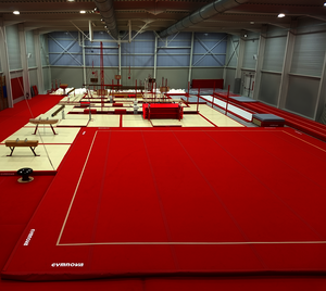 Tréninková gymnastická podlaha pružinová 13x13m_obr3