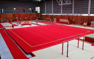 Tréninková gymnastická podlaha pružinová 13x13m_obr6
