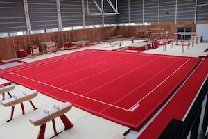 Tréninková gymnastická podlaha pružinová 13x13m_obr12
